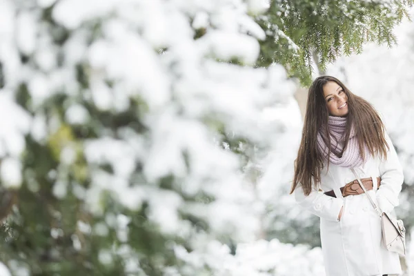 Ung kvinna på vintern — Stockfoto