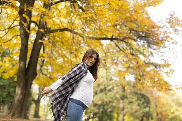 Mulher grávida no parque — Fotografia de Stock