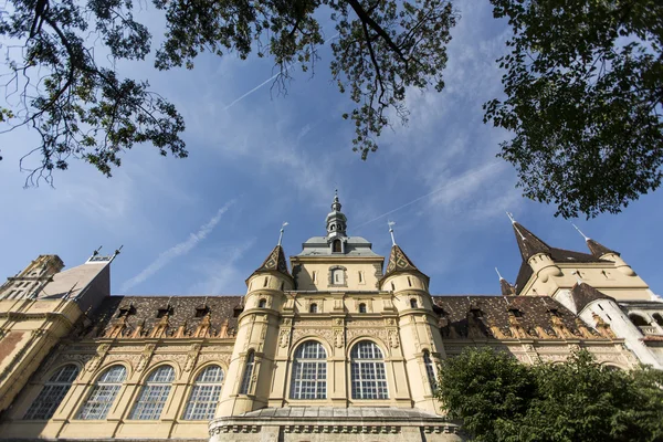 Burg Vajdahunyad, Budapest — Stockfoto