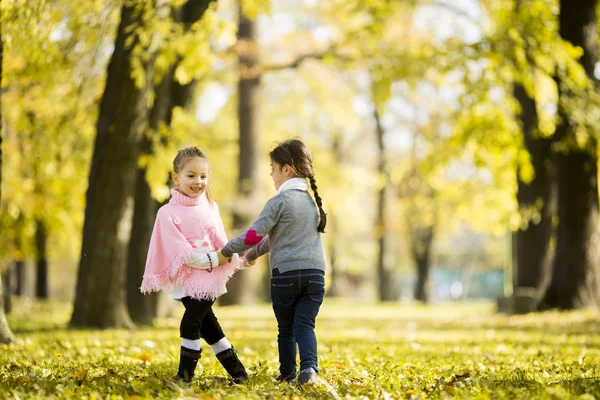 Meisjes in het najaar park — Stockfoto