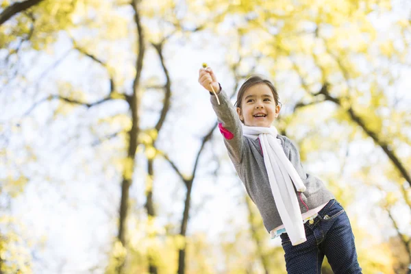 Menina no parque de outono — Fotografia de Stock