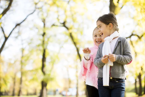 Ragazze al parco autunnale — Foto Stock