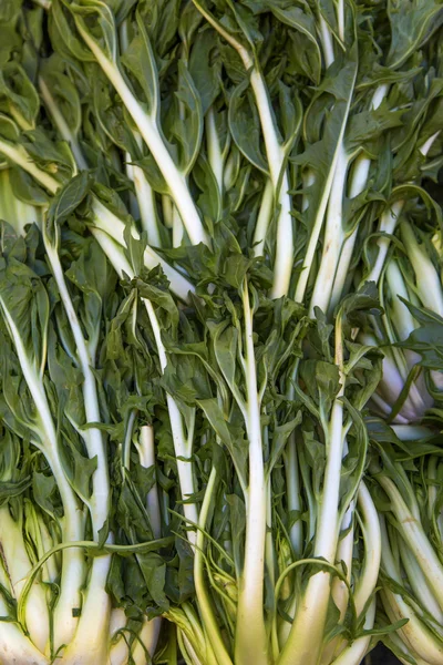 Frisches Mangold auf dem Markt — Stockfoto