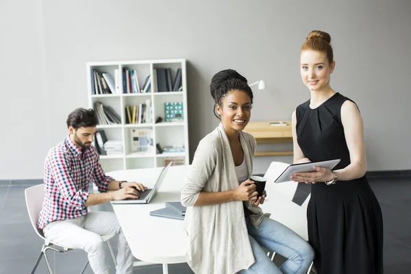 Young people in the office — Stock Photo, Image