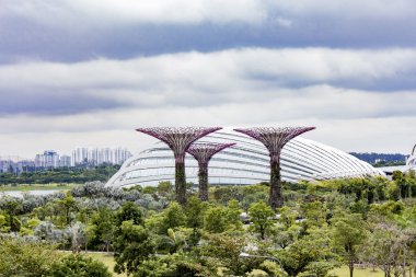 Supertree Grove Gardens