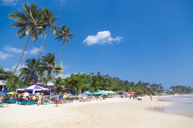 Mirissa plaj Sri Lanka
