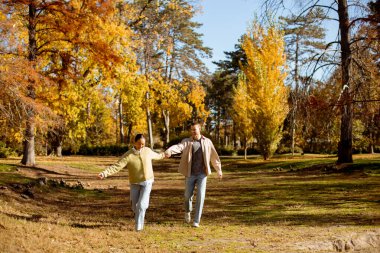İki insan, sonbahar renkleri ve güneş ışığıyla dolu canlı bir parkta gezintiden zevk alır, birlikte neşeli bir anı paylaşırlar..