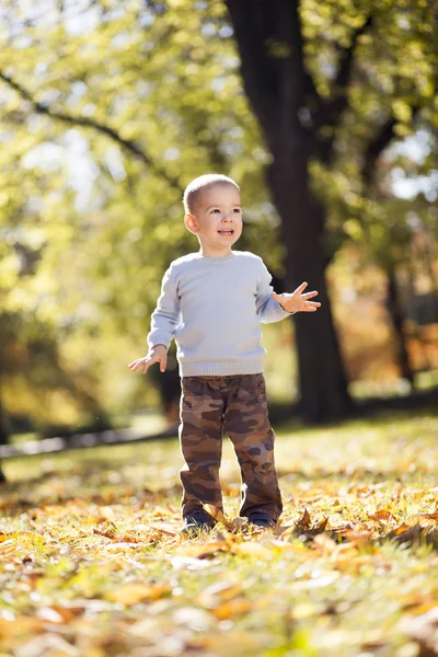男孩在秋天的公园 — 图库照片