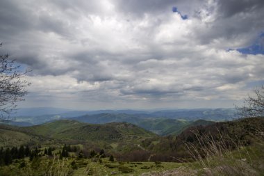 Yeşil alan görünüm