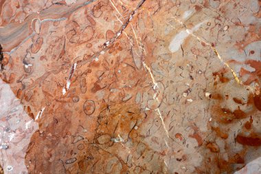 Bu derin su kabarcığı, Sırbistan 'da Orta Triyas döneminde meydana gelen ilginç doku ve desenleri sergiliyor.