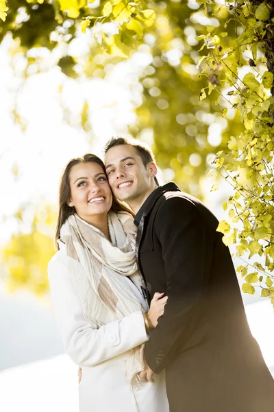 Couple in the autumn park — Stock Photo, Image