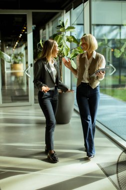 İki kadın şık bir ofiste yürüyorlar, sohbet ediyorlar. Alan geniş pencereler, yeşillik ve canlı bir çalışma ortamı sağlayan parlak bir atmosfere sahiptir..
