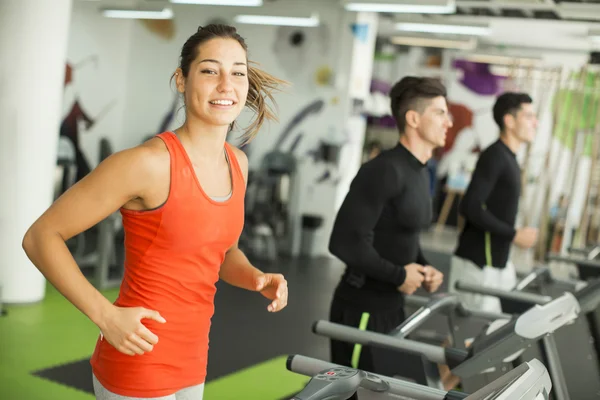 Personas entrenando en el gimnasio —  Fotos de Stock