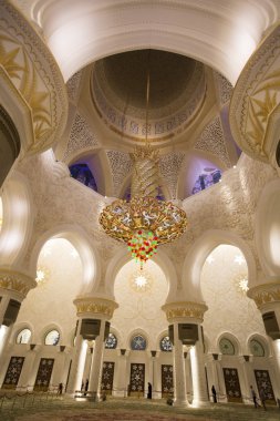 Sheikh zayed Camisi
