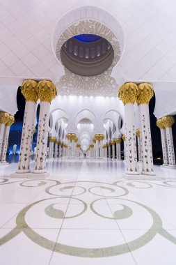 Sheikh zayed Camisi