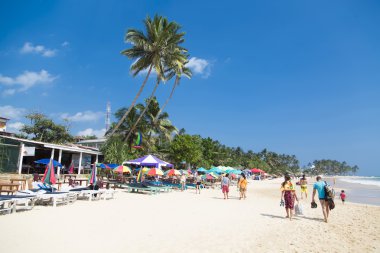Mirissa plaj Sri Lanka