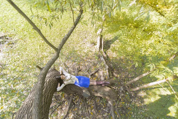 Mujer en bosque de otoño —  Fotos de Stock