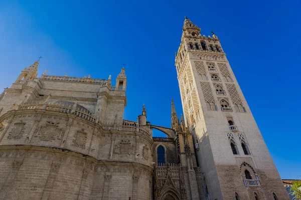 Giralda çan kulesi, Seville Katedrali 'nin yanında heybetli bir şekilde yükseliyor. Titreyen gökyüzüne karşı çarpıcı bir mimari sergiliyor..