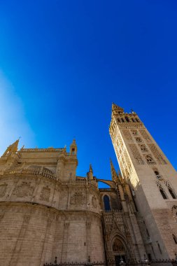 Muhteşem Sevilla Katedrali 'nin yanında Giralda çan kulesinin muhteşem mimarisine hayran kaldım. Parlak güneş ışığının tadını çıkarıyordu..