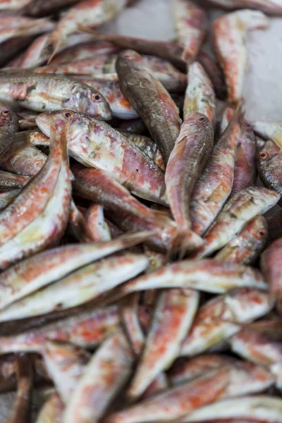 Mariscos frescos en el mercado —  Fotos de Stock