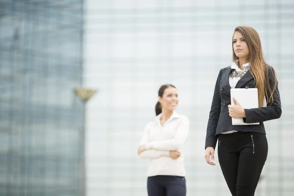 Mujeres jóvenes de negocios — Foto de Stock