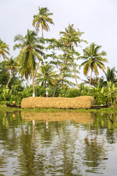 คนที่ไม่ได้รับการรับรองที่ backwaters ใน Kerala — ภาพถ่ายสต็อก