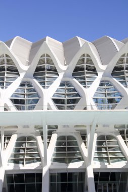 Valencia, İspanya 'da Sanat ve Bilim Şehri