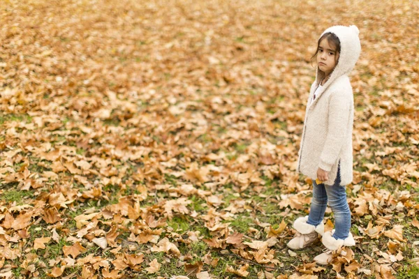 Ragazza al parco autunnale — Foto Stock