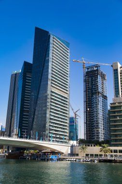 Modern gökdelenler görüntüleme