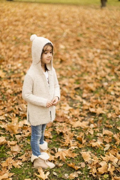 Dívka v podzimní park — Stock fotografie