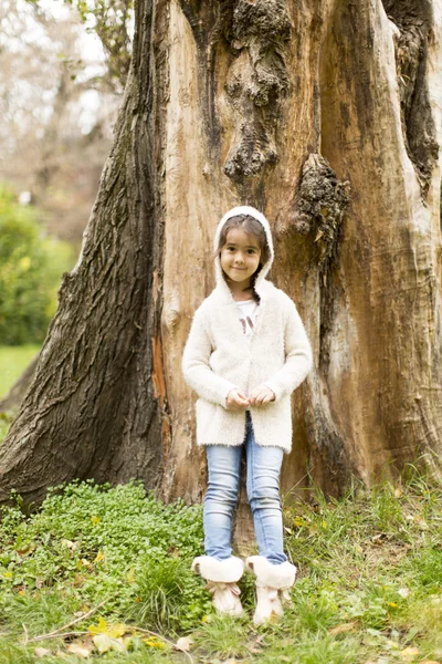 秋の公園で少女 — ストック写真