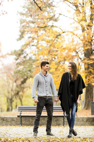 Coppia nel parco autunnale — Foto Stock