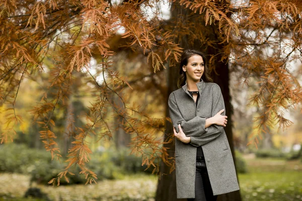 Donna nel parco autunnale — Foto Stock