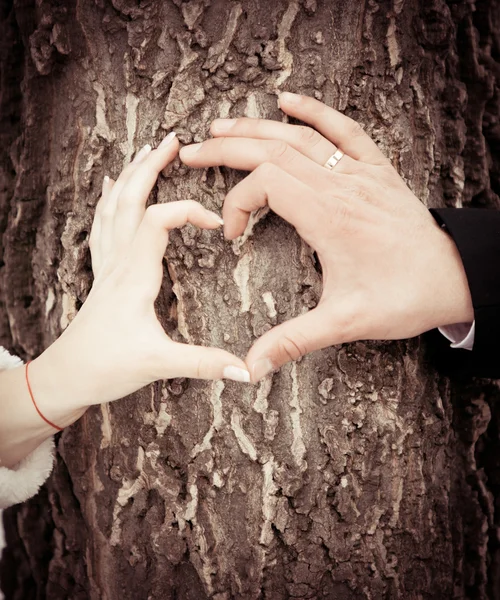 Mains de mariée et marié — Photo