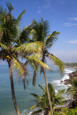Varkala Hindistan'da denizde