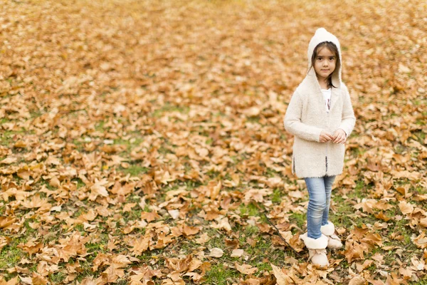 秋の公園で少女 — ストック写真