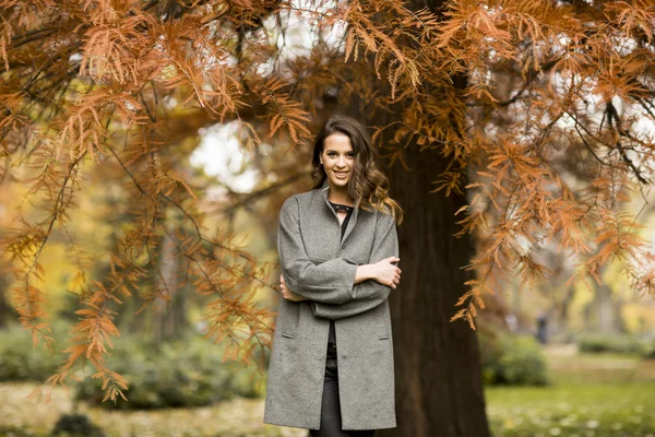 Mulher no parque de outono — Fotografia de Stock