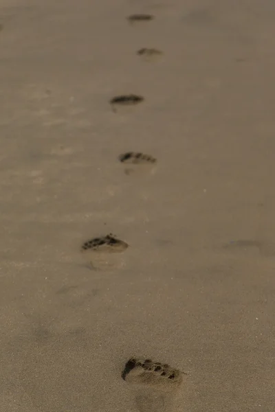 Blick auf Fußabdrücke im Sand — Stockfoto