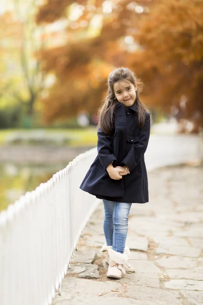 Girl at the autumn park — Stock Photo, Image