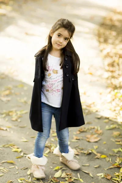 Girl at the autumn park — Stock Photo, Image