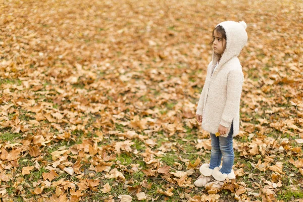 Girl in het najaar park — Stockfoto