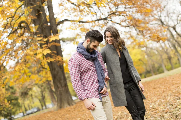 Giovane coppia nel parco — Foto Stock