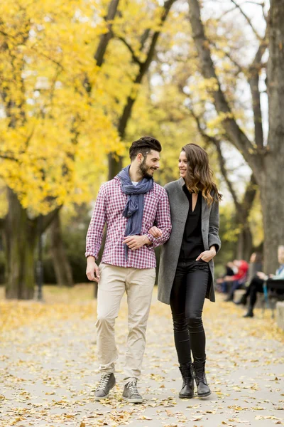 Junges Paar im Park — Stockfoto