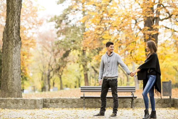 Coppia nel parco autunnale — Foto Stock