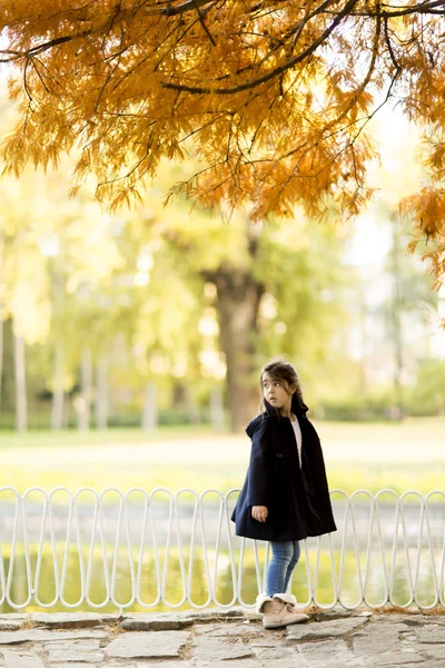 Menina no parque de outono — Fotografia de Stock