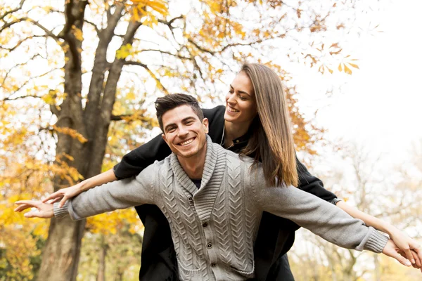 Casal no parque de outono — Fotografia de Stock