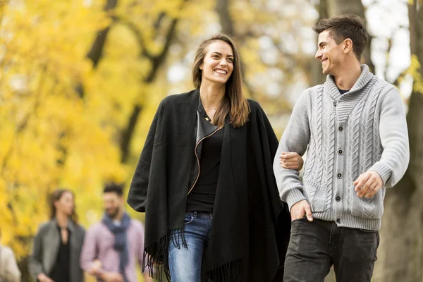 Young people in the autumn park — Stock Photo, Image