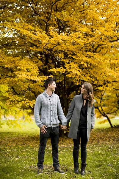 Young couple in the park — Stock Photo, Image