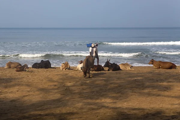 Agonda strand van Goa, India — Stockfoto