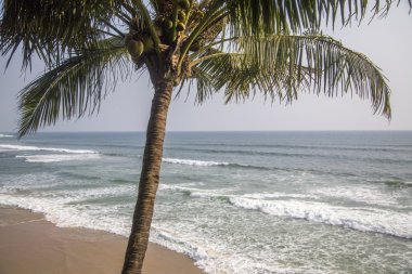 Varkala Kerala Beach'de
